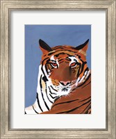 Colorful Tiger Fine Art Print