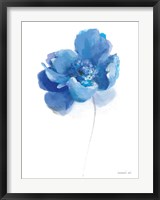 Bold Blooming IV Fine Art Print