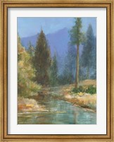 Western Pines Fine Art Print