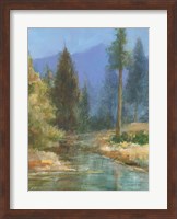 Western Pines Fine Art Print