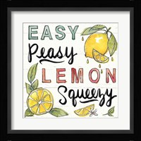 Lemonade Stand II Framed Print