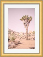 Joshua Tree III Blush Fine Art Print