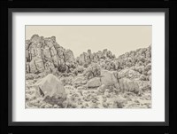Joshua Tree V Neutral Fine Art Print