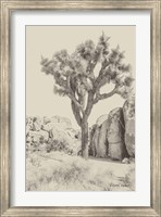 Joshua Tree IV Neutral Fine Art Print