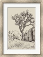 Joshua Tree IV Neutral Fine Art Print