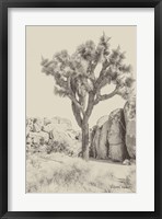 Joshua Tree IV Neutral Fine Art Print