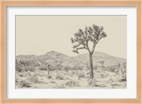 Joshua Tree I Neutral Fine Art Print