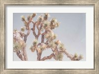 Desert Floral I Fine Art Print