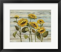 Cottage Sunflowers Fine Art Print