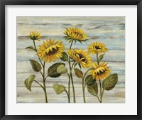 Cottage Sunflowers Fine Art Print