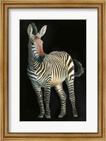 Wild and Free VI Black Fine Art Print