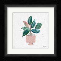 Home Garden IV Framed Print