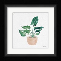 Home Garden III Framed Print