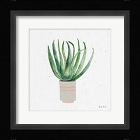 Home Garden I Framed Print