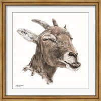 Bill the Goat Fine Art Print