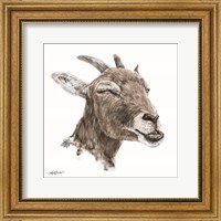 Bill the Goat Fine Art Print