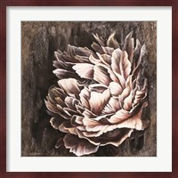 Pale Peony Fine Art Print