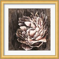 Pale Peony Fine Art Print