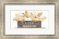 U-Pick Pumpkins Fine Art Print