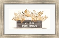 U-Pick Pumpkins Fine Art Print