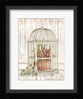 Caged Beauty II Fine Art Print
