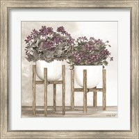 Potted Geraniums Fine Art Print