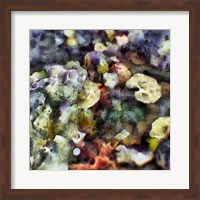 Sea Life II Fine Art Print