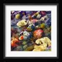 Sea Life III Framed Print