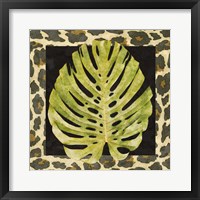 Tropic Collection II Framed Print
