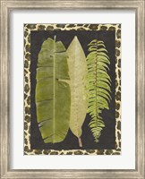 Tropic Collection VI Fine Art Print