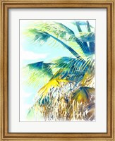 Tropical Glow II Fine Art Print