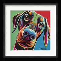 Chroma Dogs I Framed Print