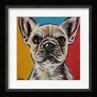 Chroma Dogs II Framed Print