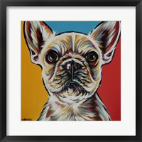 Chroma Dogs II Framed Print