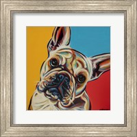 Chroma Dogs III Fine Art Print