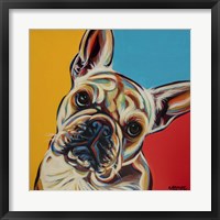 Chroma Dogs III Fine Art Print