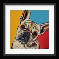 Chroma Dogs III Framed Print