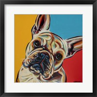 Chroma Dogs III Framed Print