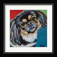 Chroma Dogs IV Framed Print