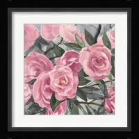 Watercolor Roses II Framed Print