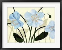 Blue Poppies I Framed Print