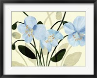 Blue Poppies II Framed Print