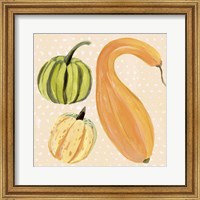 Decorative Gourd I Fine Art Print