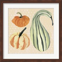 Decorative Gourd III Fine Art Print