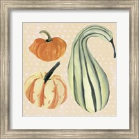 Decorative Gourd III Fine Art Print