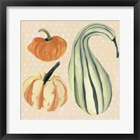 Decorative Gourd III Framed Print