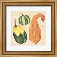Decorative Gourd IV Fine Art Print