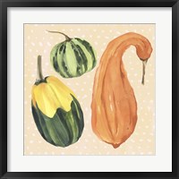 Decorative Gourd IV Fine Art Print