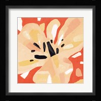 Boomin' Bloom I Framed Print