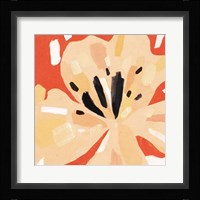 Boomin' Bloom II Framed Print